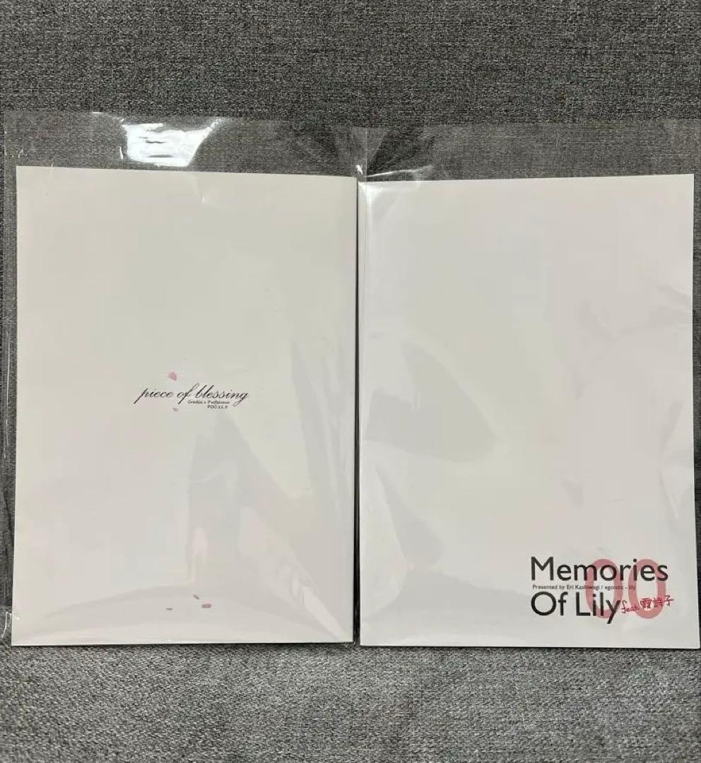 【値下げ⭕️】深崎暮人 同人誌 冴えない彼女の育てかた