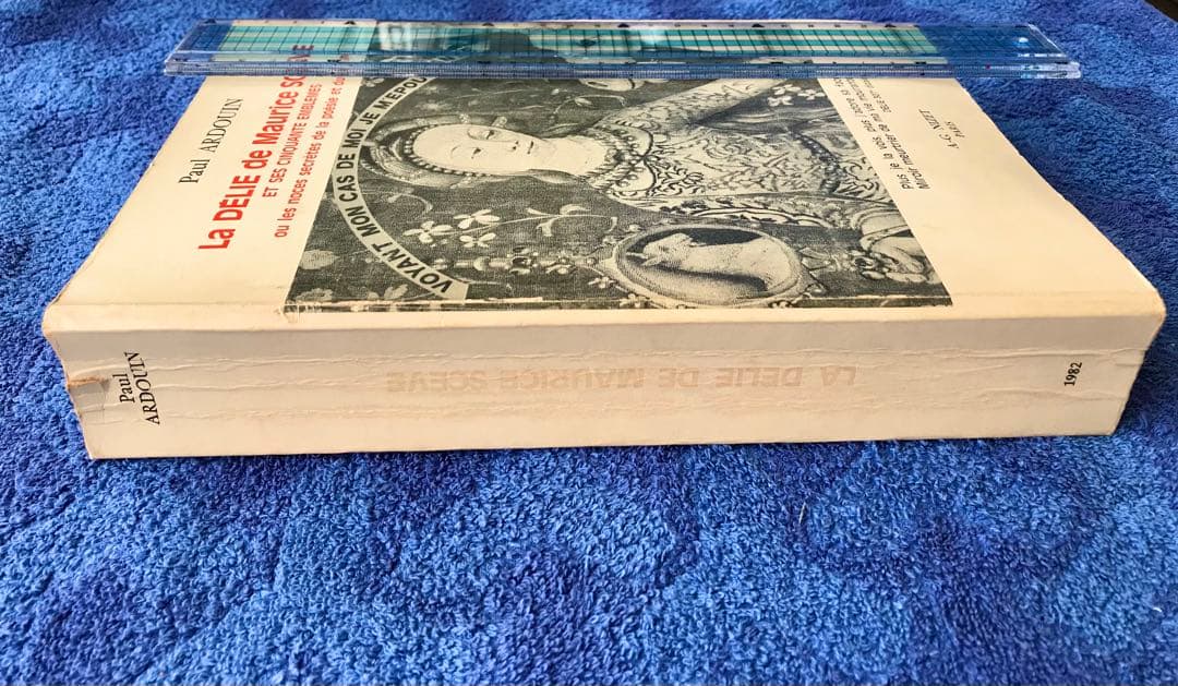 洋書　\"モーリス・セーブのデリー\"(仏語)(メルカリ専用)