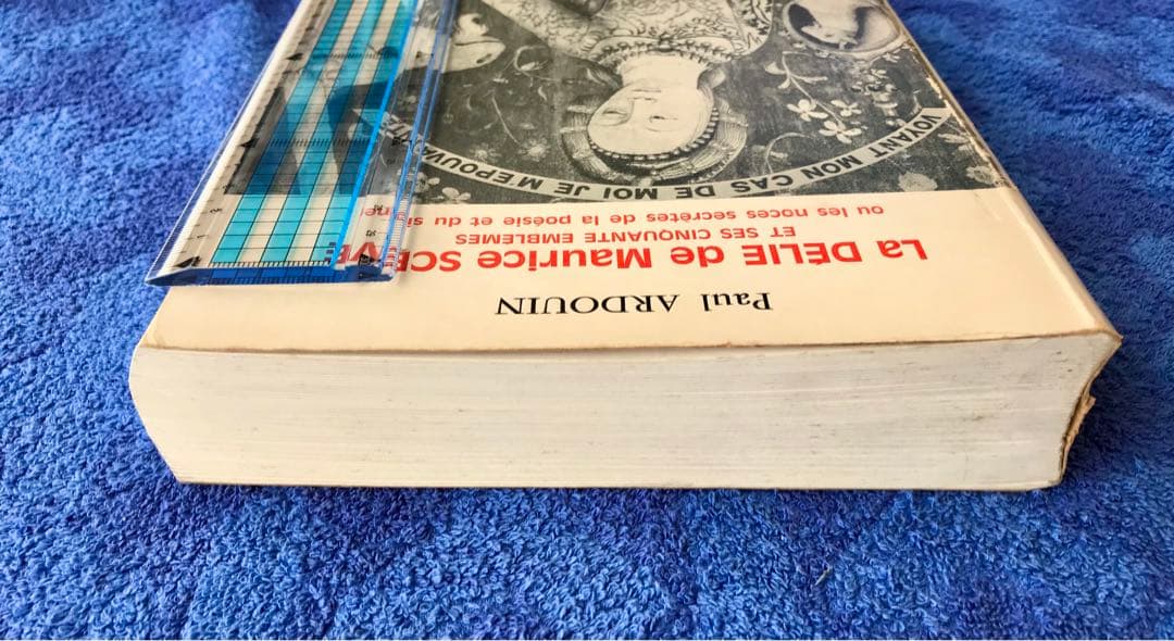 洋書　\"モーリス・セーブのデリー\"(仏語)(メルカリ専用)