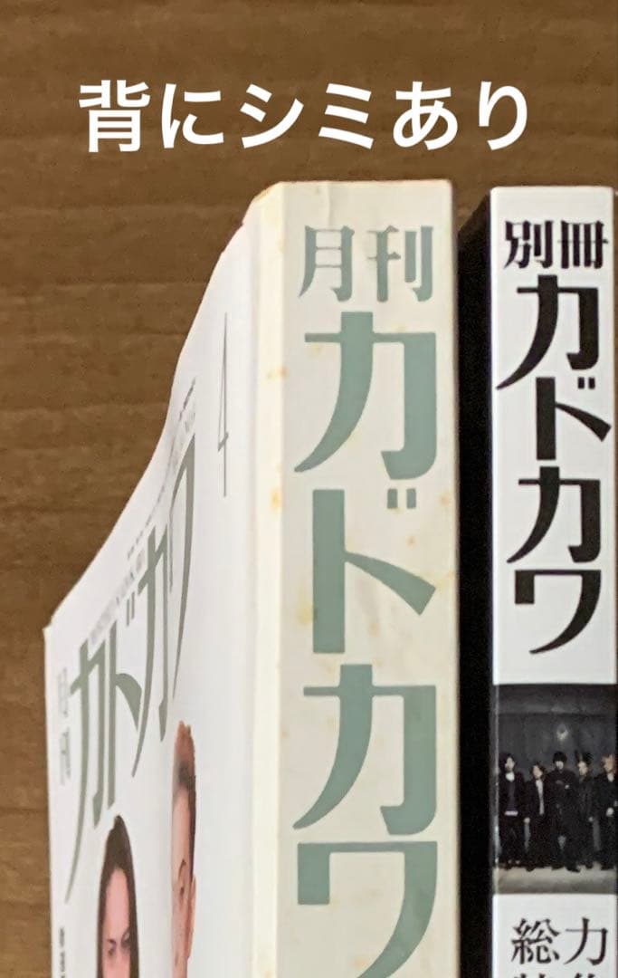 【総力特集 BUCK-TICK】月刊カドカワVOL.10 NO.4&別冊カドカワ