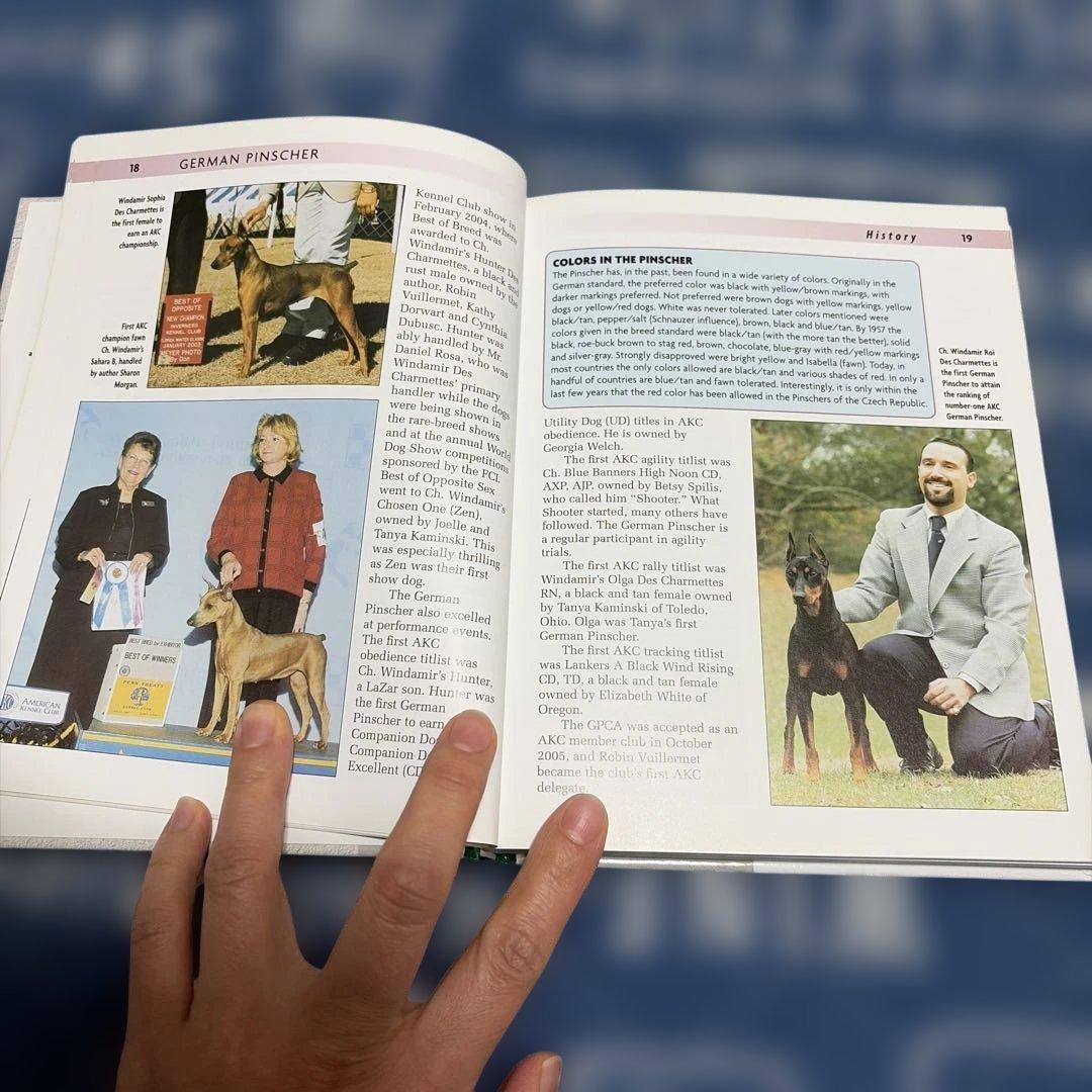German Pinscher 特別版