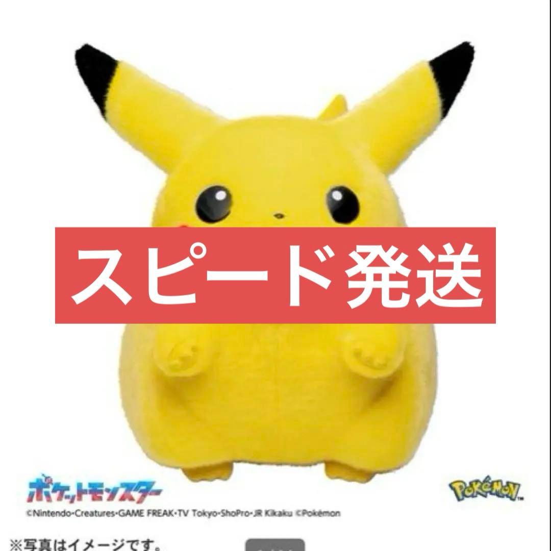 ぬいぐるみ おかえり！ピカチュウ1/1