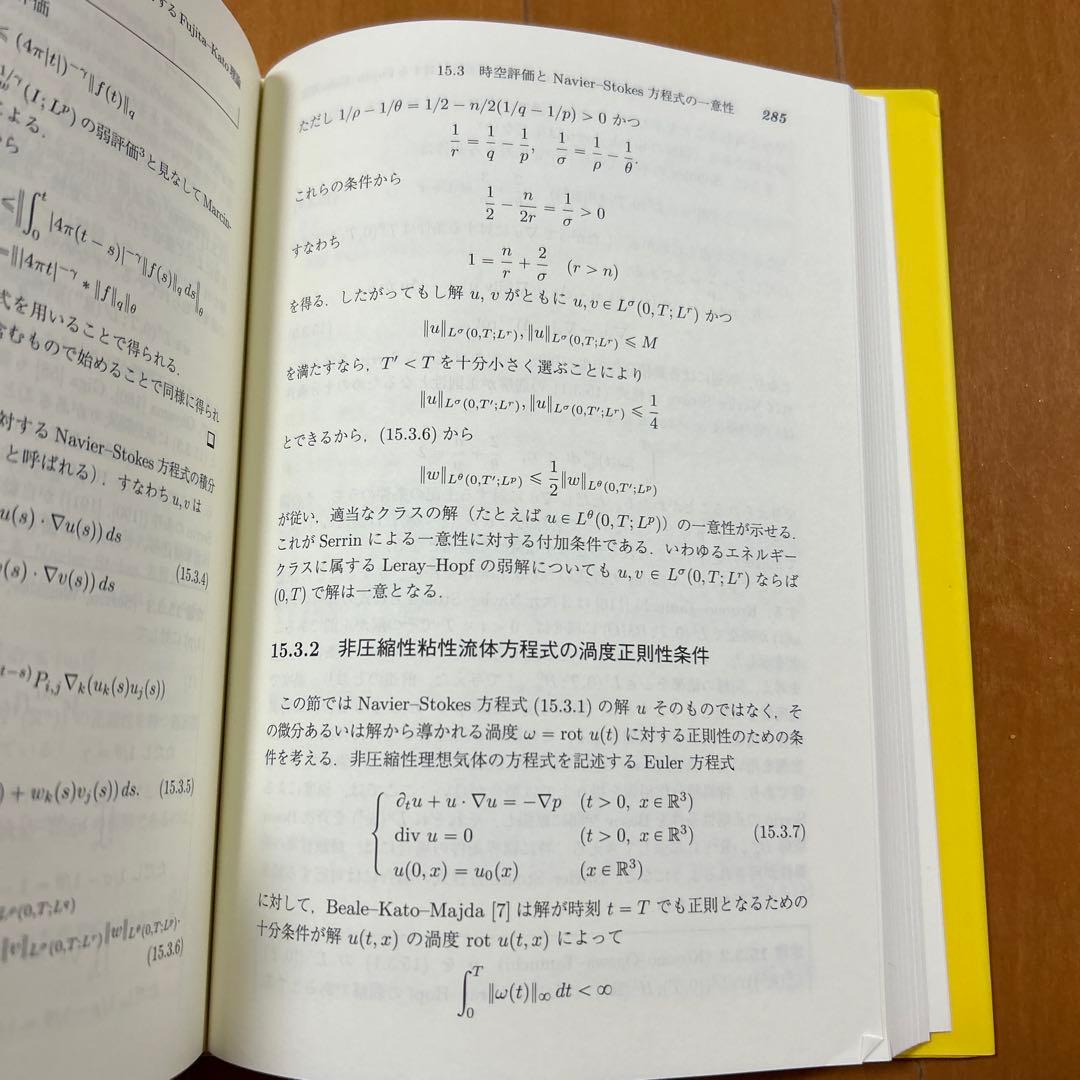 【値下げ】非線型発展方程式の実解析的方法