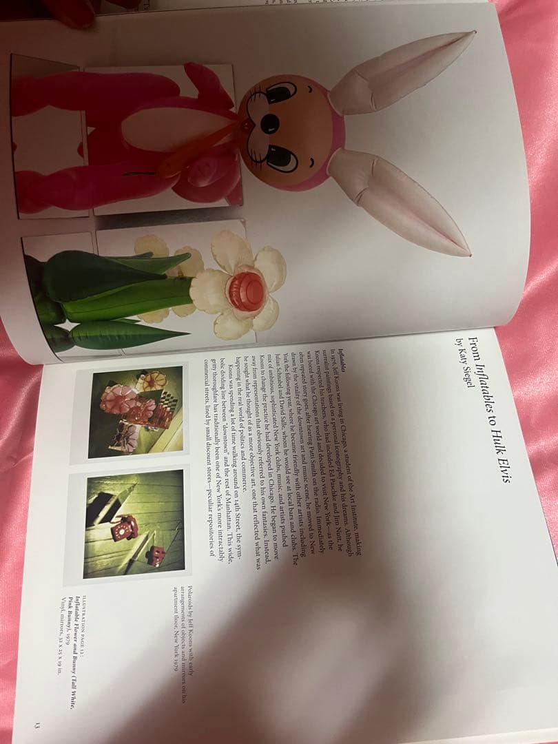 アート・デザイン・音楽 KOONS Hans Werner Holzwarth