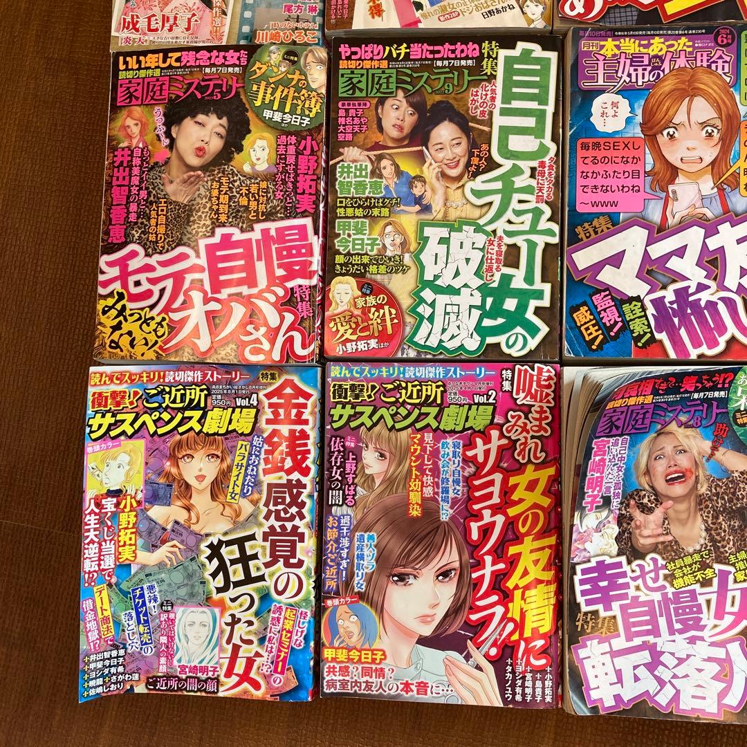 の*ん様 レディースコミック　レディコミ　まとめ売り　12冊セット