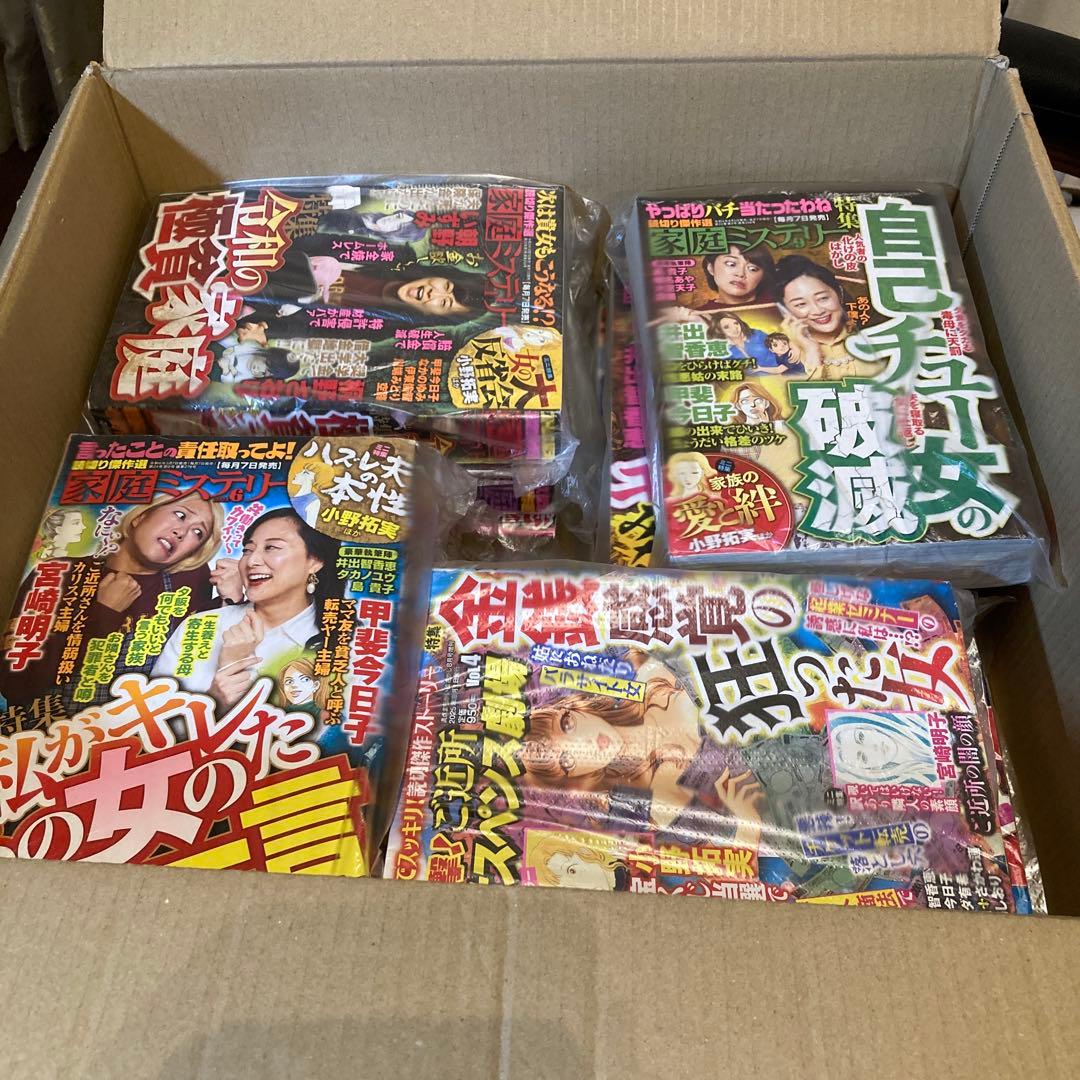 の*ん様 レディースコミック　レディコミ　まとめ売り　12冊セット