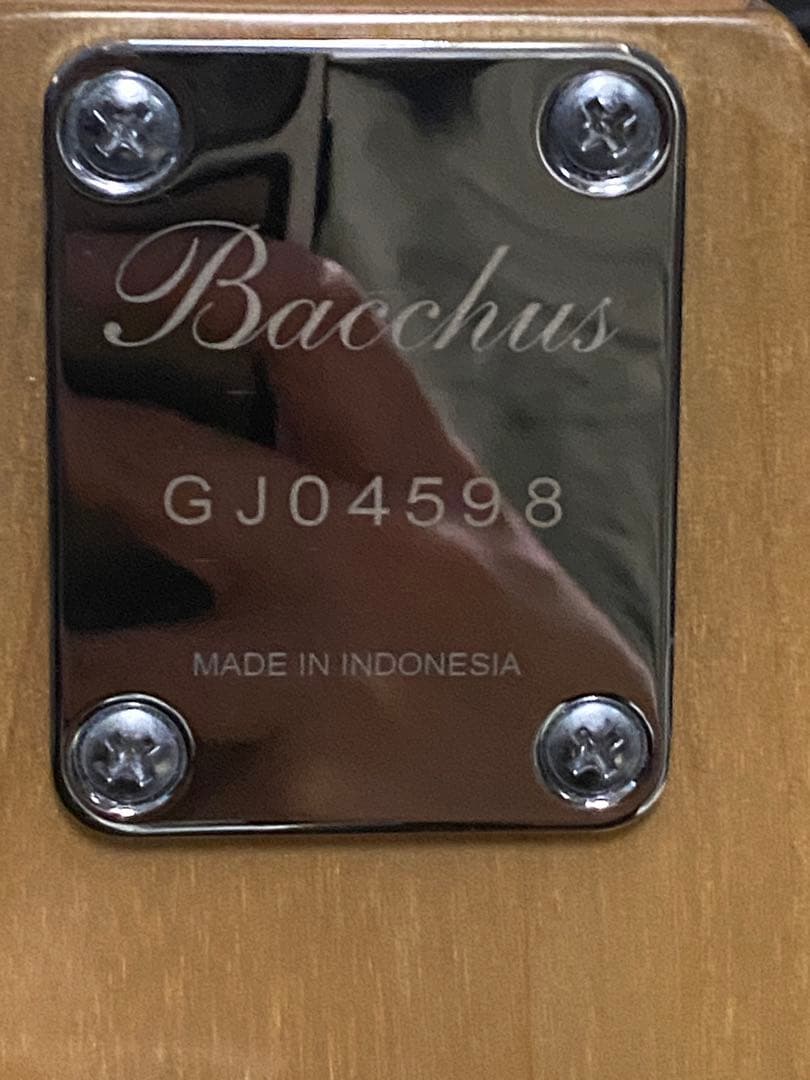 Bacchus エレキベース WL5-ASH33-AC RSM/M / NA