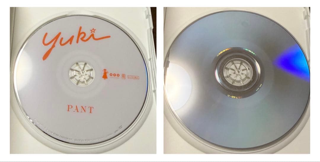 ミュージック YUKI SAITO 25th Anniversary DVD BOX