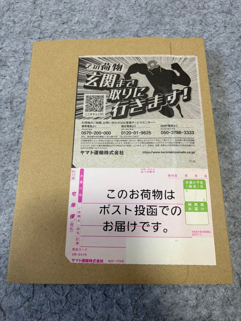 BADHOP THE FINAL TOKYO DOME LIVE DVD 未開封