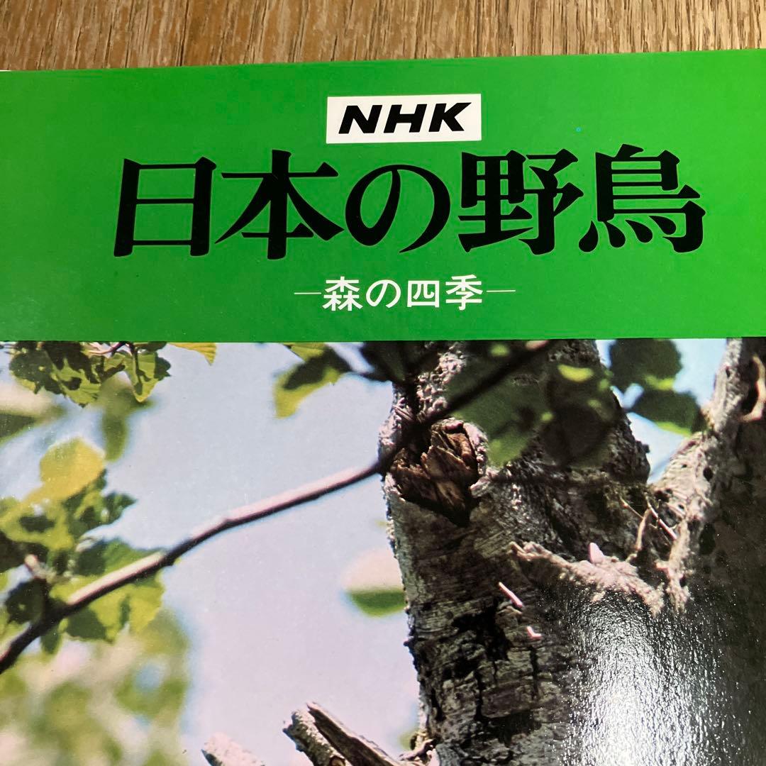 日本の野鳥 森の四季 NHK 1976