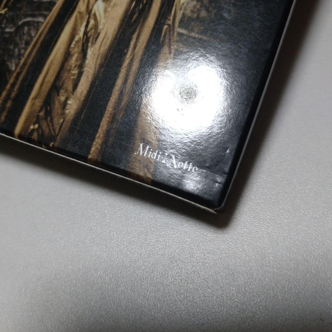 邦楽 Schwarz Stein Artificial Hallucination