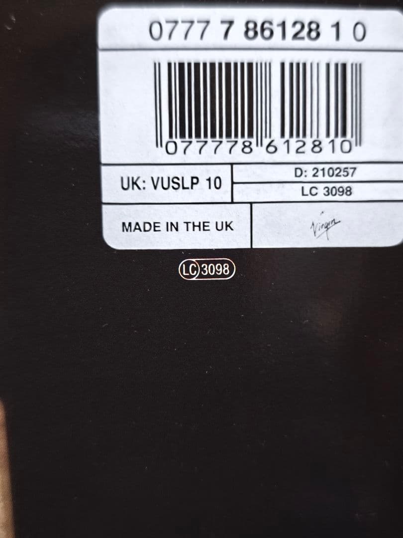 新品デッドストックLP！レニー・クラヴィッツ Lenny Kravitz