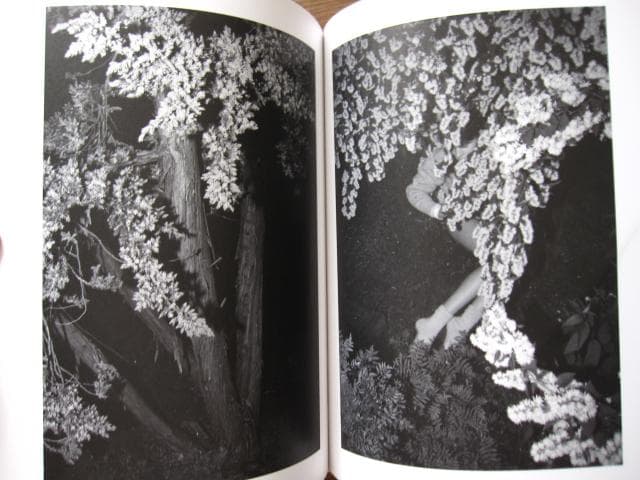 Sol & Luna　Viviane Sassen　直筆サイン