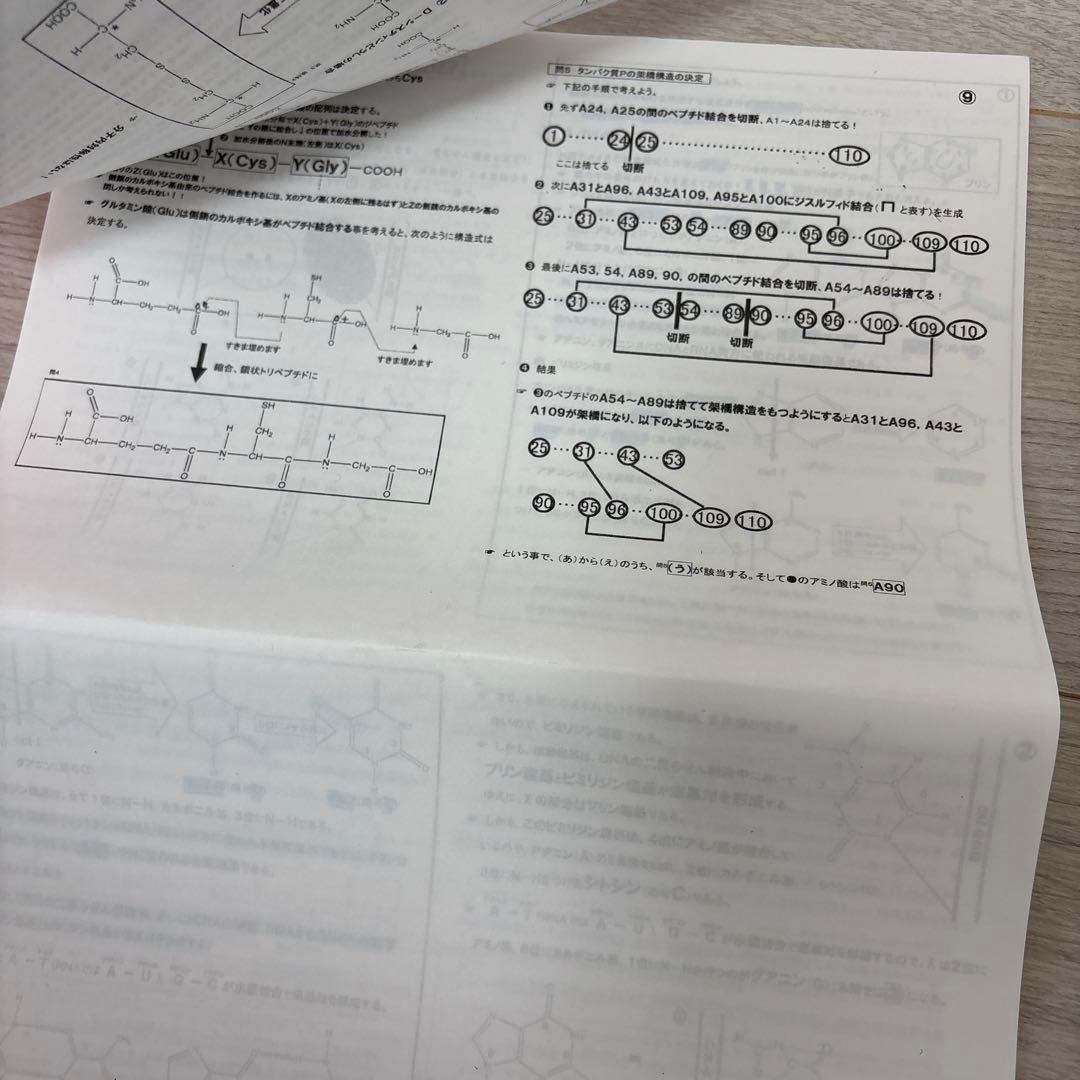 駿台　山下先生　高3スーパー化学α テスト演習全13回分