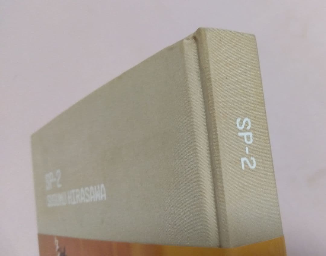 ☆8/28まで出品！ (絶版 希少品) 平沢進『SP-2』