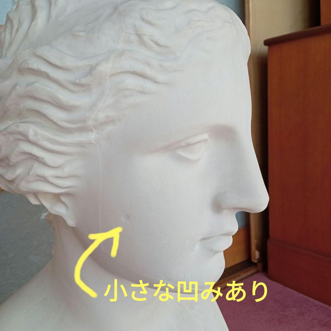 ミロのヴィーナス　胸像　 石膏像　高さ61ｃｍ