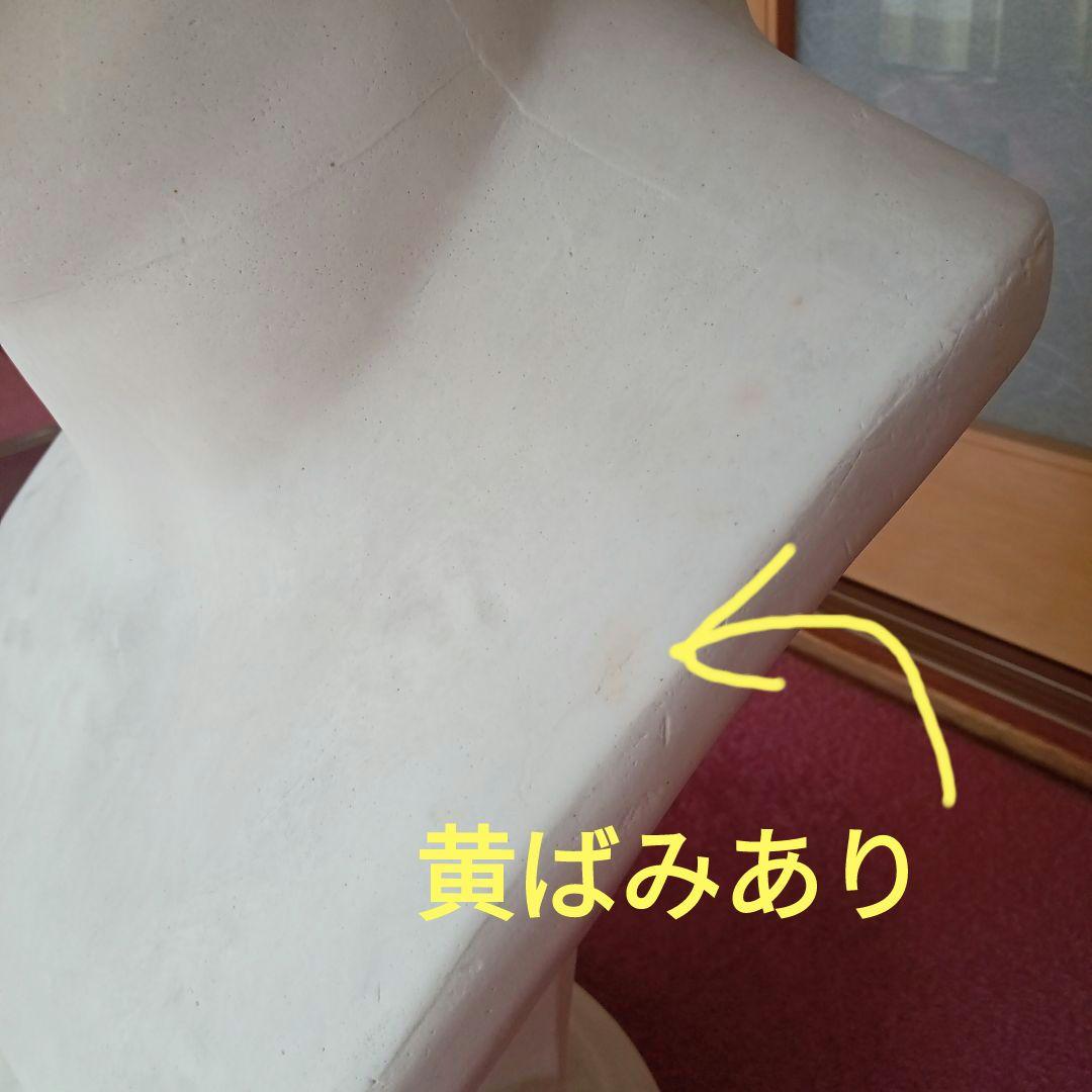 ミロのヴィーナス　胸像　 石膏像　高さ61ｃｍ