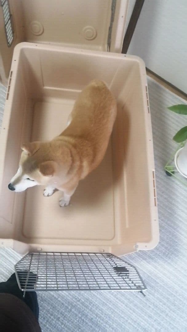 【user_13560223】Petmate Vari Kennel