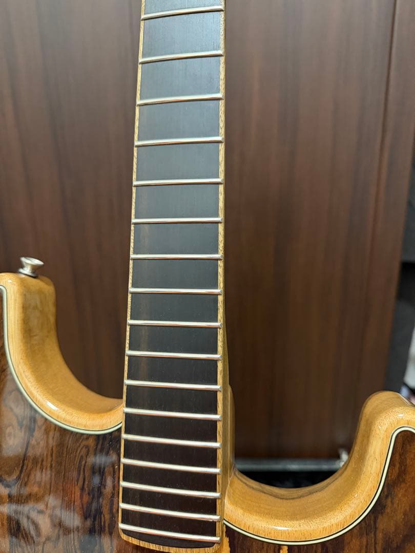 ギター Fender Acoustasonic ST Ziricote