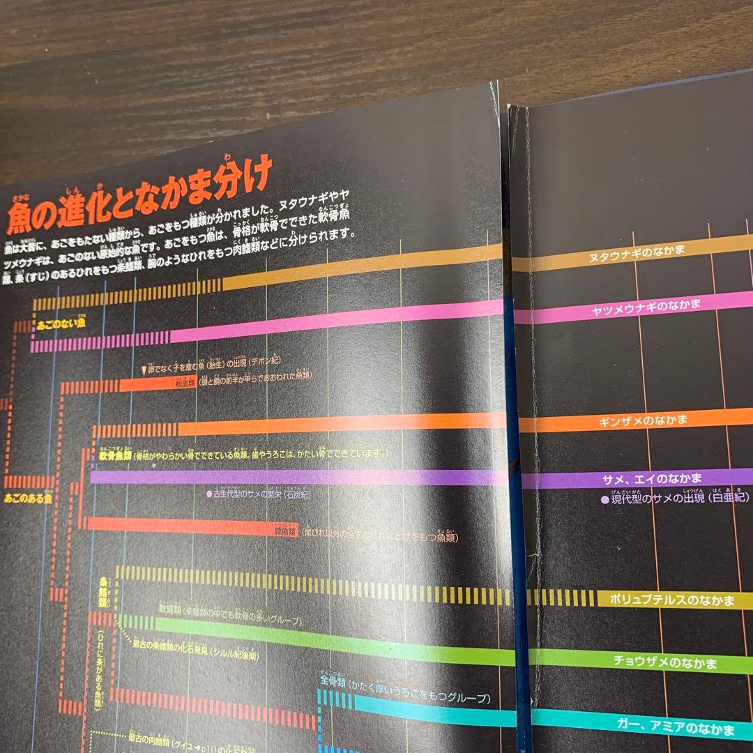 【16冊セット】ニューワイド学研の図鑑・小学館の図鑑NEO・子ども図鑑プレNEO