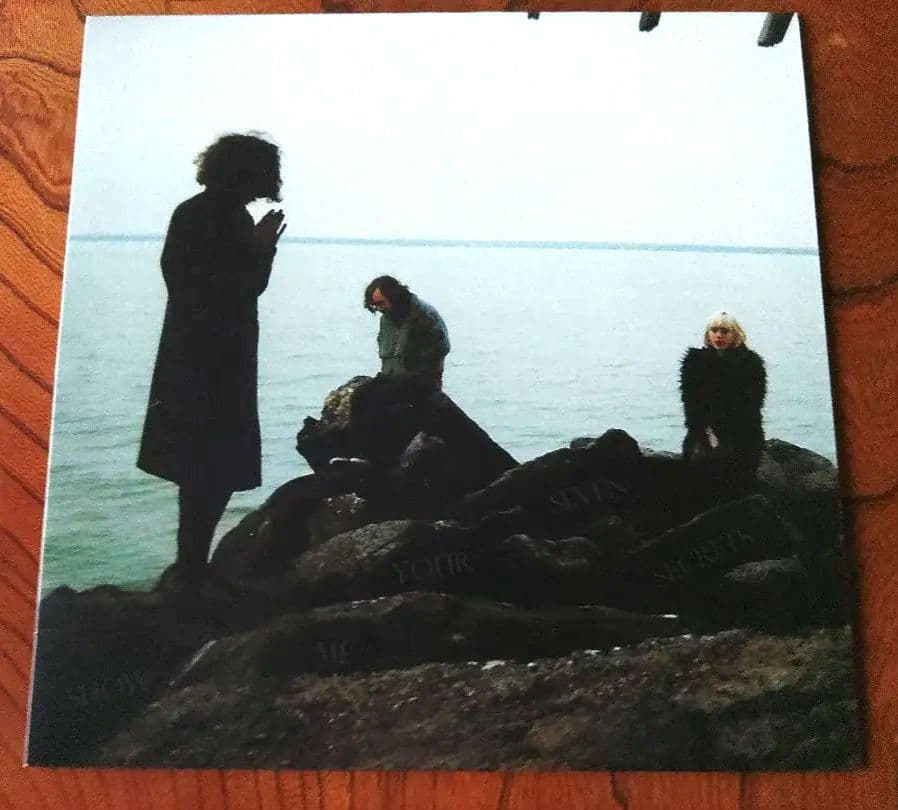 Sunflower Bean サンフラワー・ビーン レコード 2枚