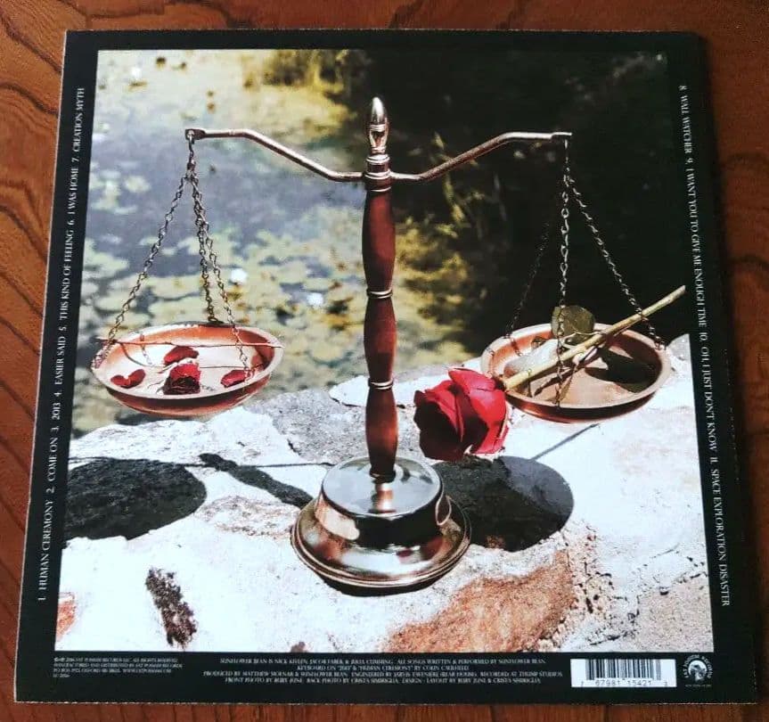 Sunflower Bean サンフラワー・ビーン レコード 2枚