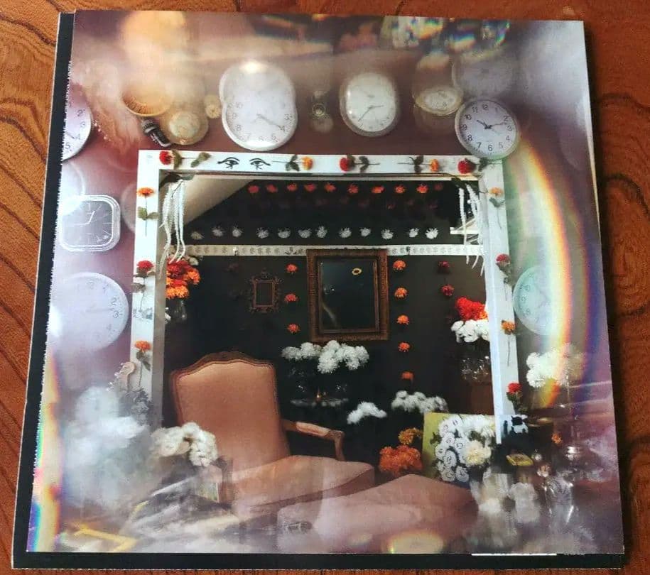 Sunflower Bean サンフラワー・ビーン レコード 2枚