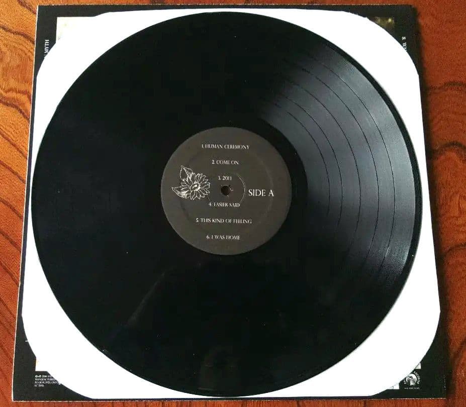 Sunflower Bean サンフラワー・ビーン レコード 2枚