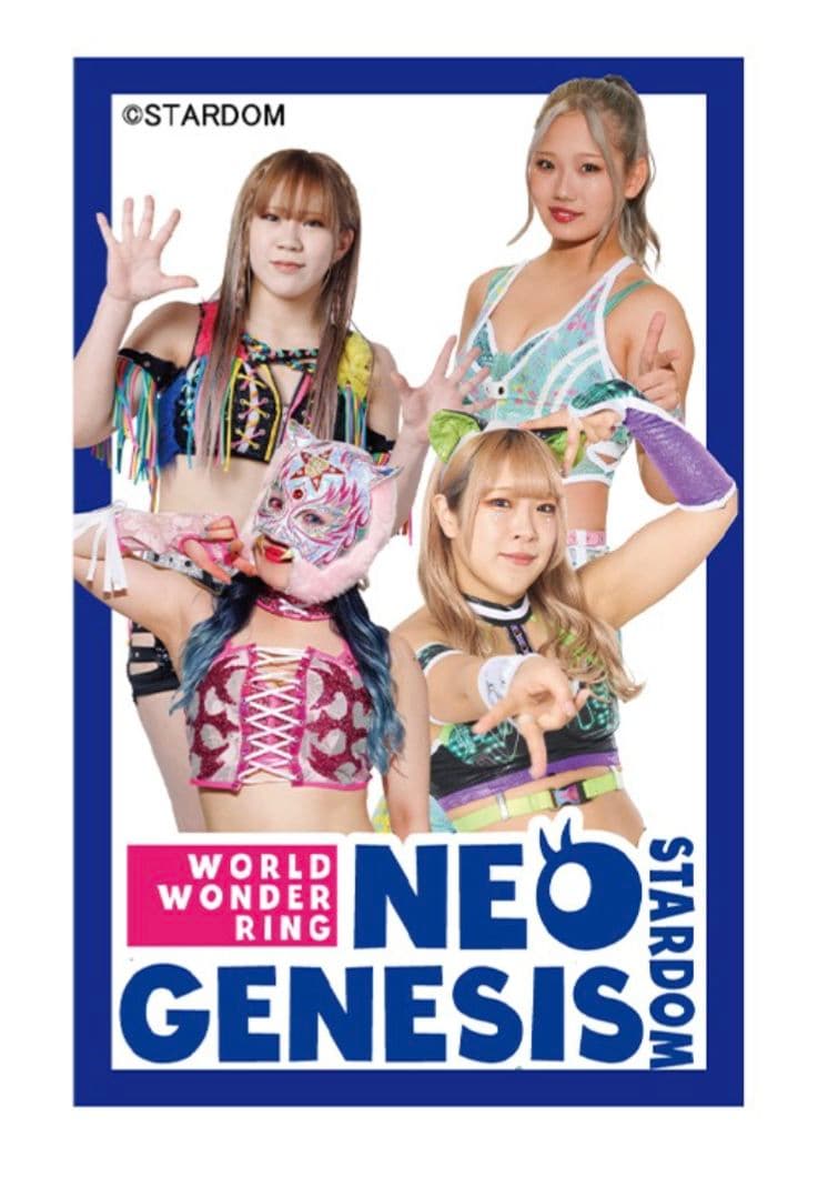 スターダム　スターライト・キッド　ダンボールジップパーカ　ＬＬ　STARDOM