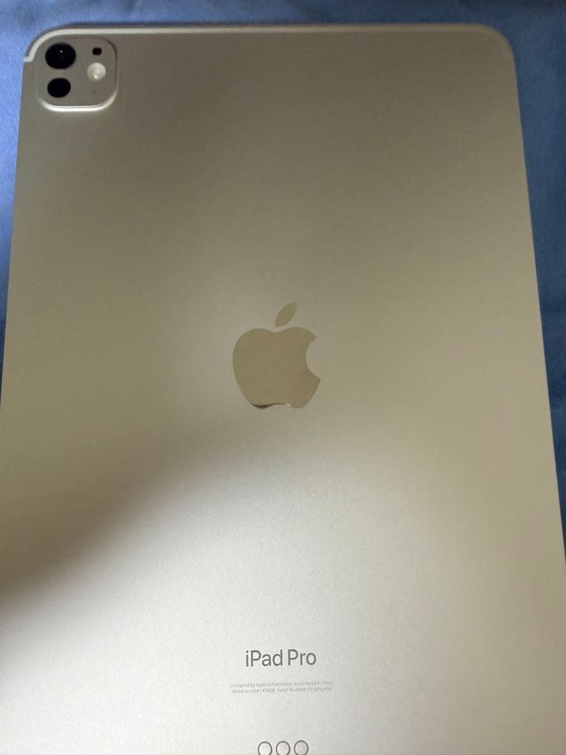 【美品】iPad Pro 11インチ M4 256GB シルバー（室内使用のみ）