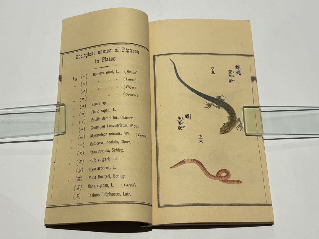 「百虫詩画 名蠕蠕集」山本復一著 山田茂助刊 明治39年刊 揃2冊|和本