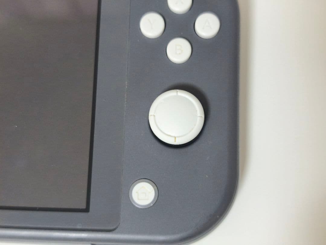 Switch Lite 本体のみ 動作確認済み 液晶不良あり