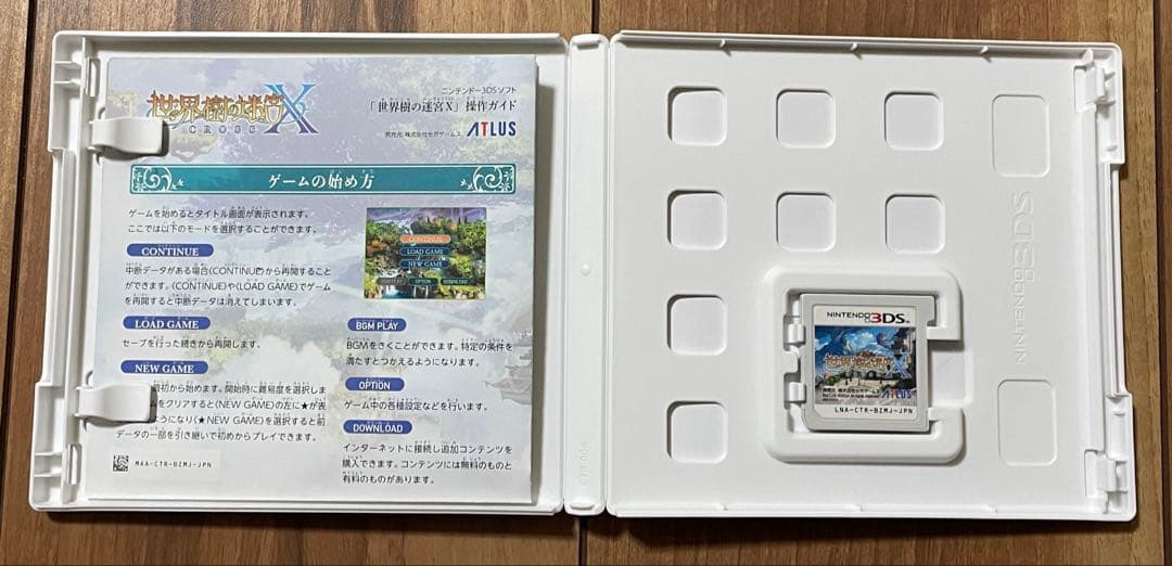 世界樹の迷宮X 3DS