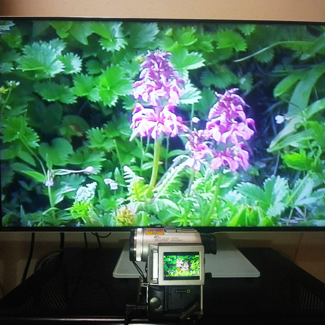 SONY Mini DV Handycam DCR-PC100 再生可能