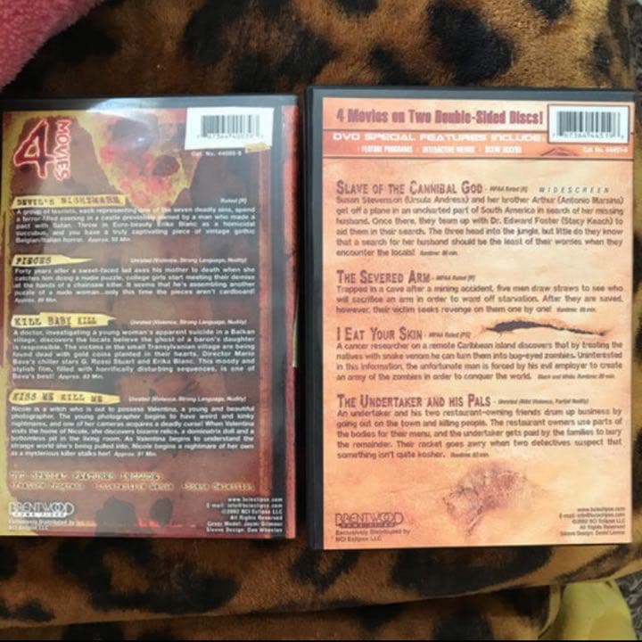 DVDホラー映画2P