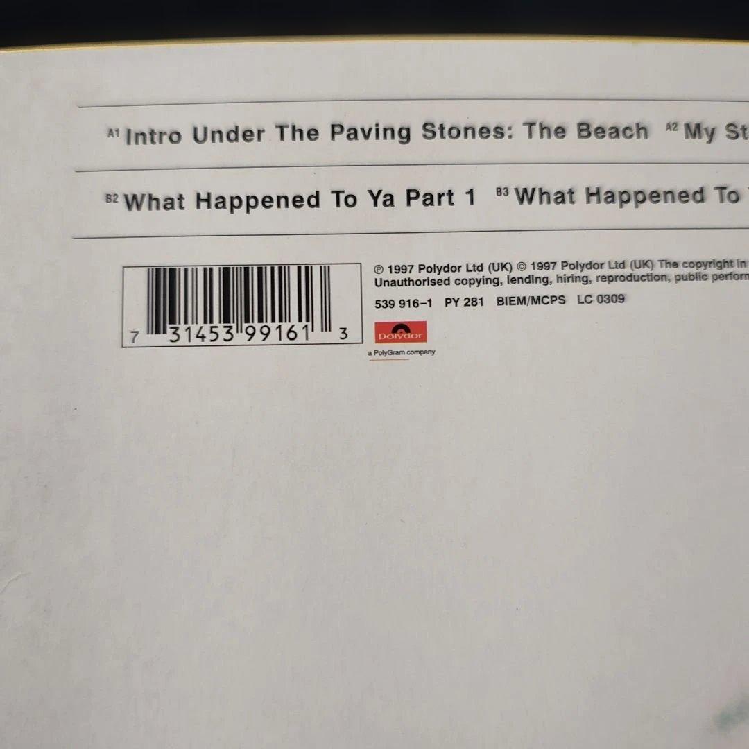 Ian Brown Unfinished Monkey Business 限定版
