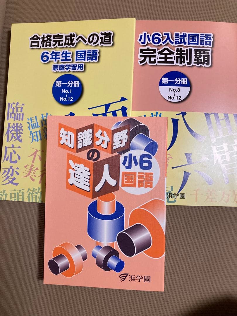 浜学園 6年生 算数・理科 教材セット マスターコース使用テキスト未使用新品