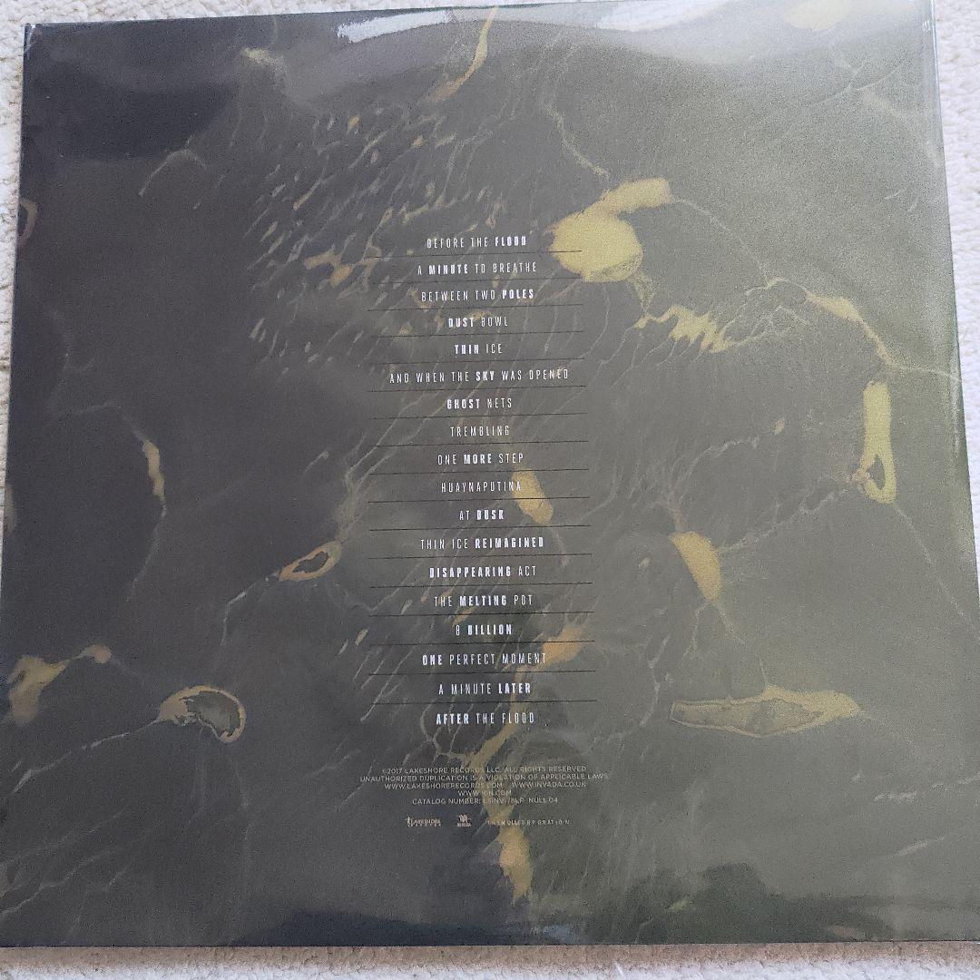 洋楽 Nine Inch Nails Before the Flood 12\" NEW