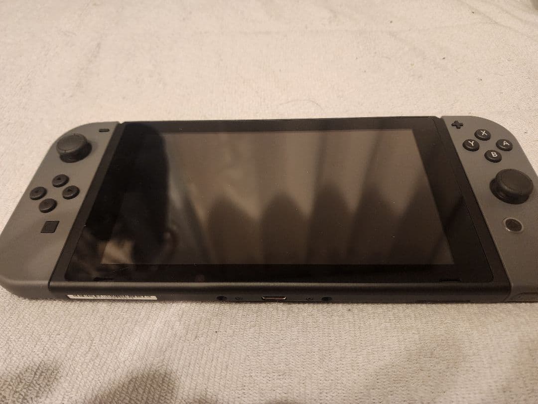 Nintendo Switch（本体） グレー　GCコン＋変換アダプタ付き