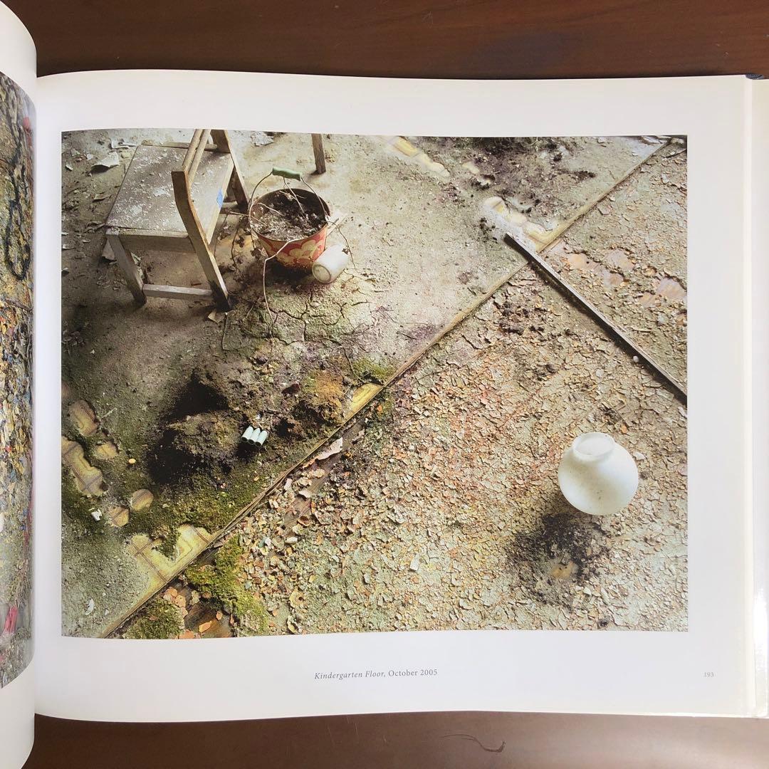 (初版) David Mcmillan: Growth and Decay 洋書