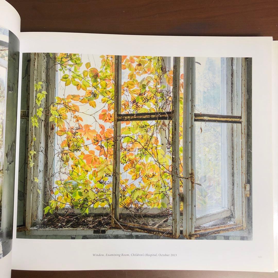 (初版) David Mcmillan: Growth and Decay 洋書