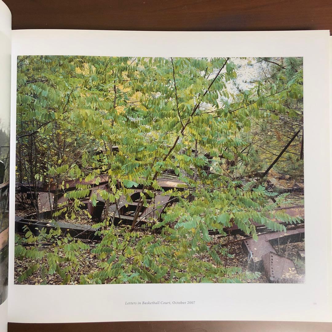 (初版) David Mcmillan: Growth and Decay 洋書