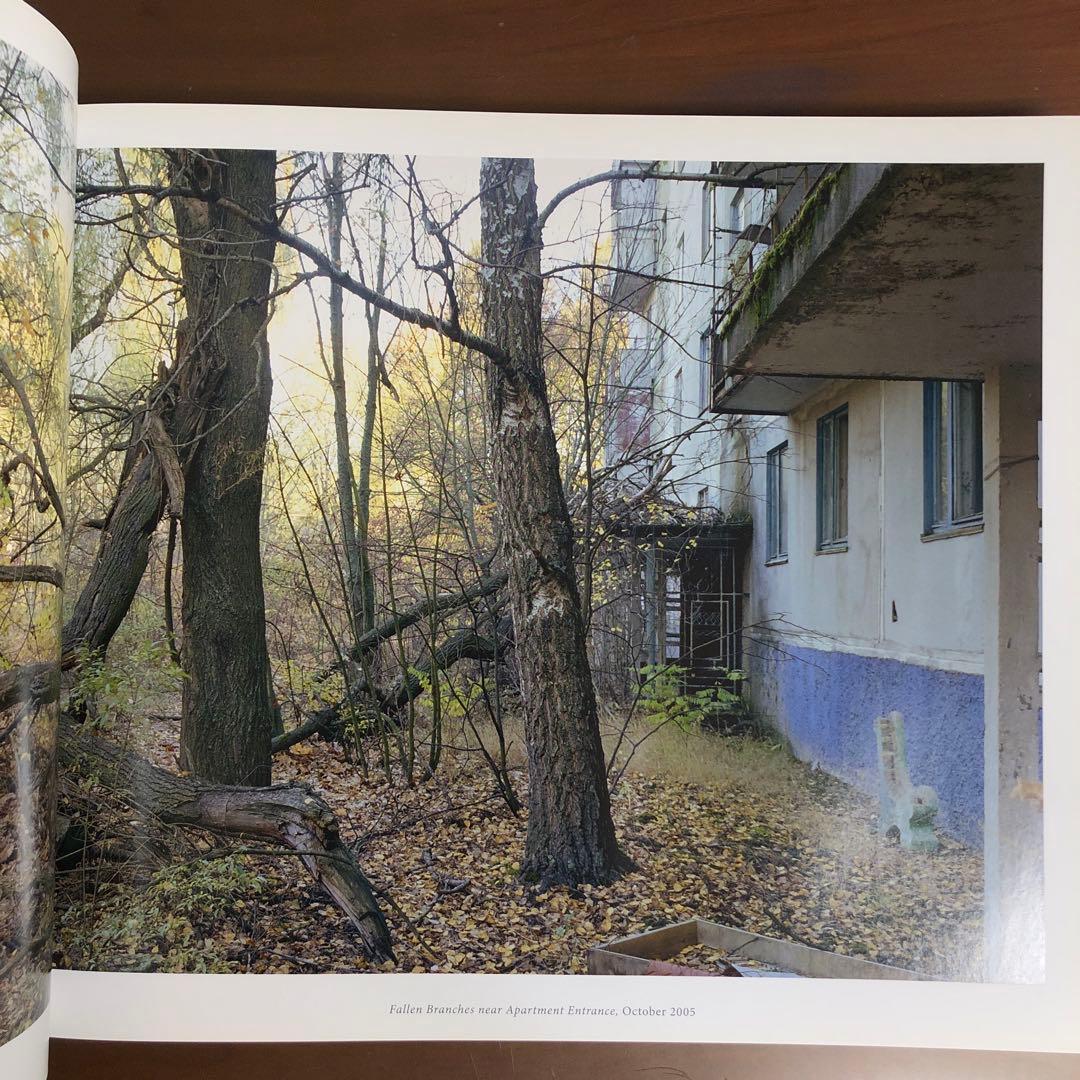 (初版) David Mcmillan: Growth and Decay 洋書