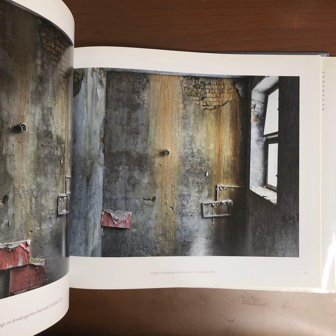 (初版) David Mcmillan: Growth and Decay 洋書