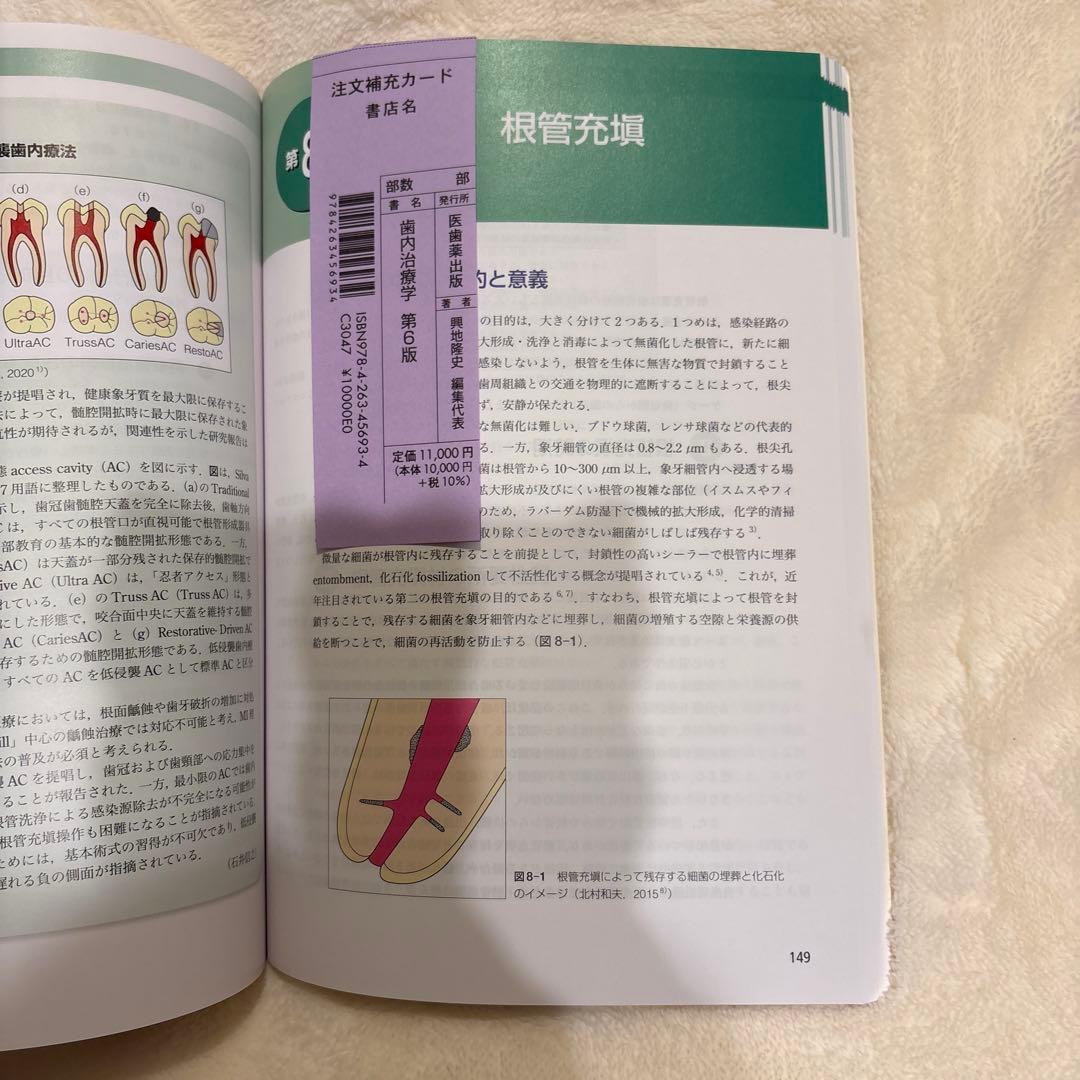 歯内治療学 第6版