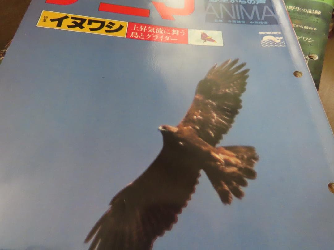 アニマANIMA野性からの声50号から169号までの77冊平凡社伝説の自然情報誌