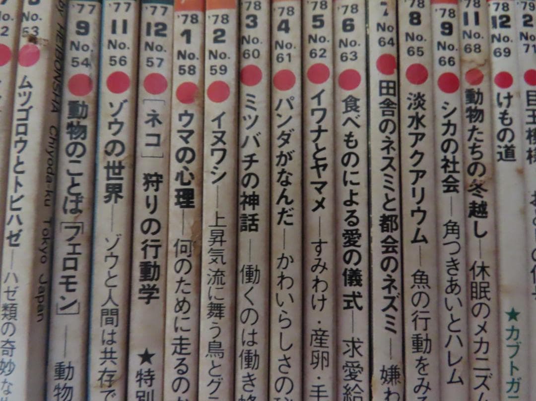 アニマANIMA野性からの声50号から169号までの77冊平凡社伝説の自然情報誌