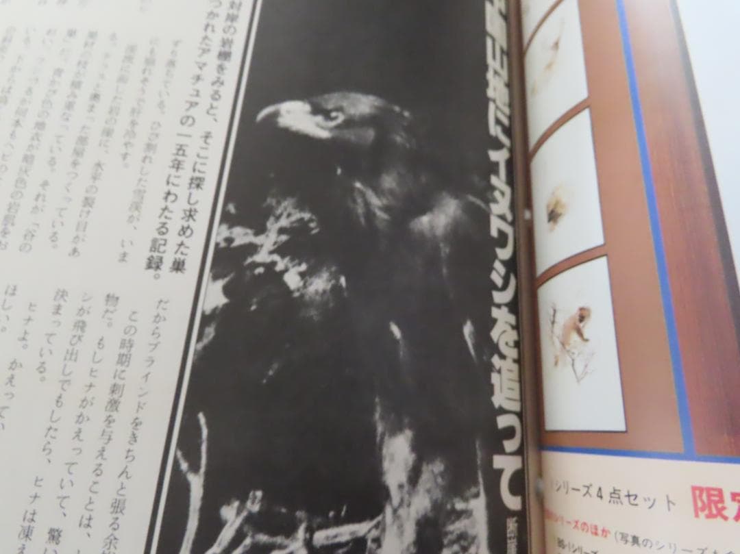 アニマANIMA野性からの声50号から169号までの77冊平凡社伝説の自然情報誌