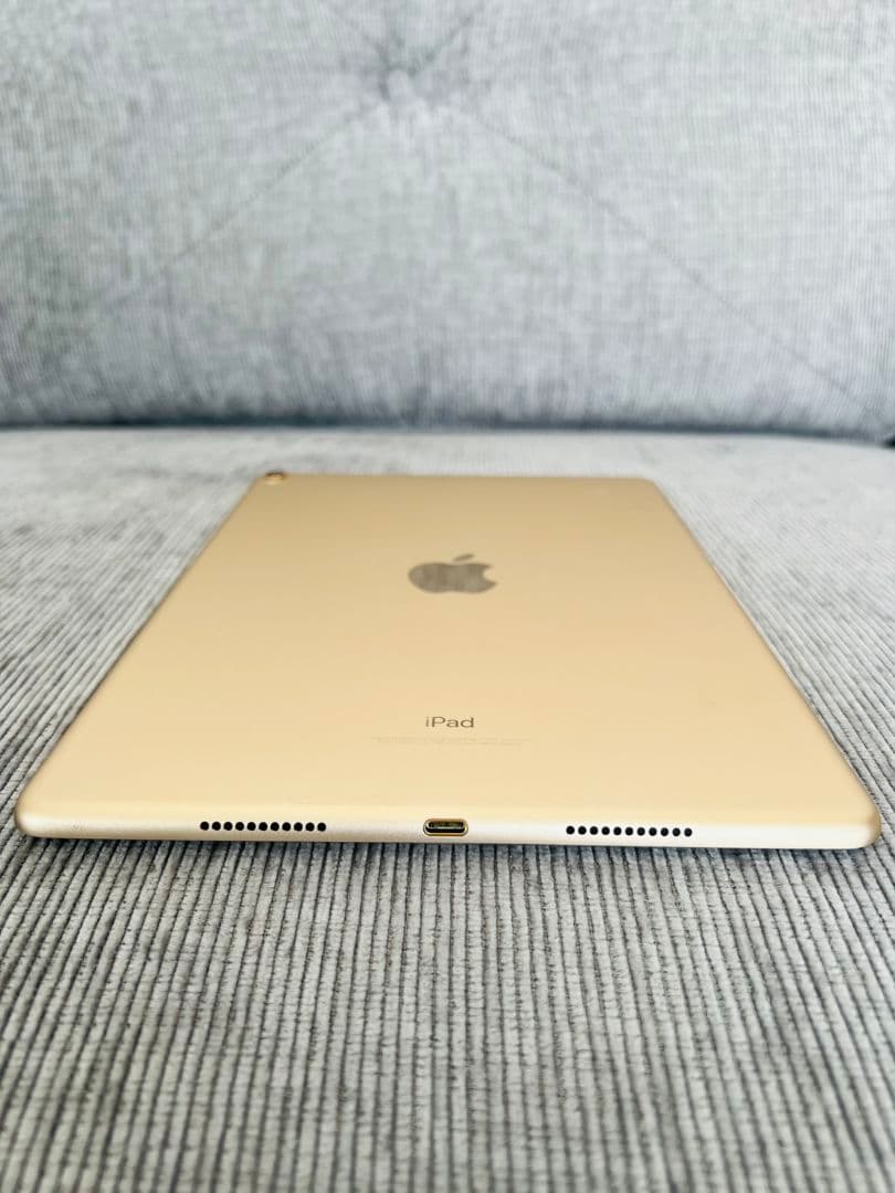 iPad Pro 10.5inch256GBWi-Fi➕Apple pencil