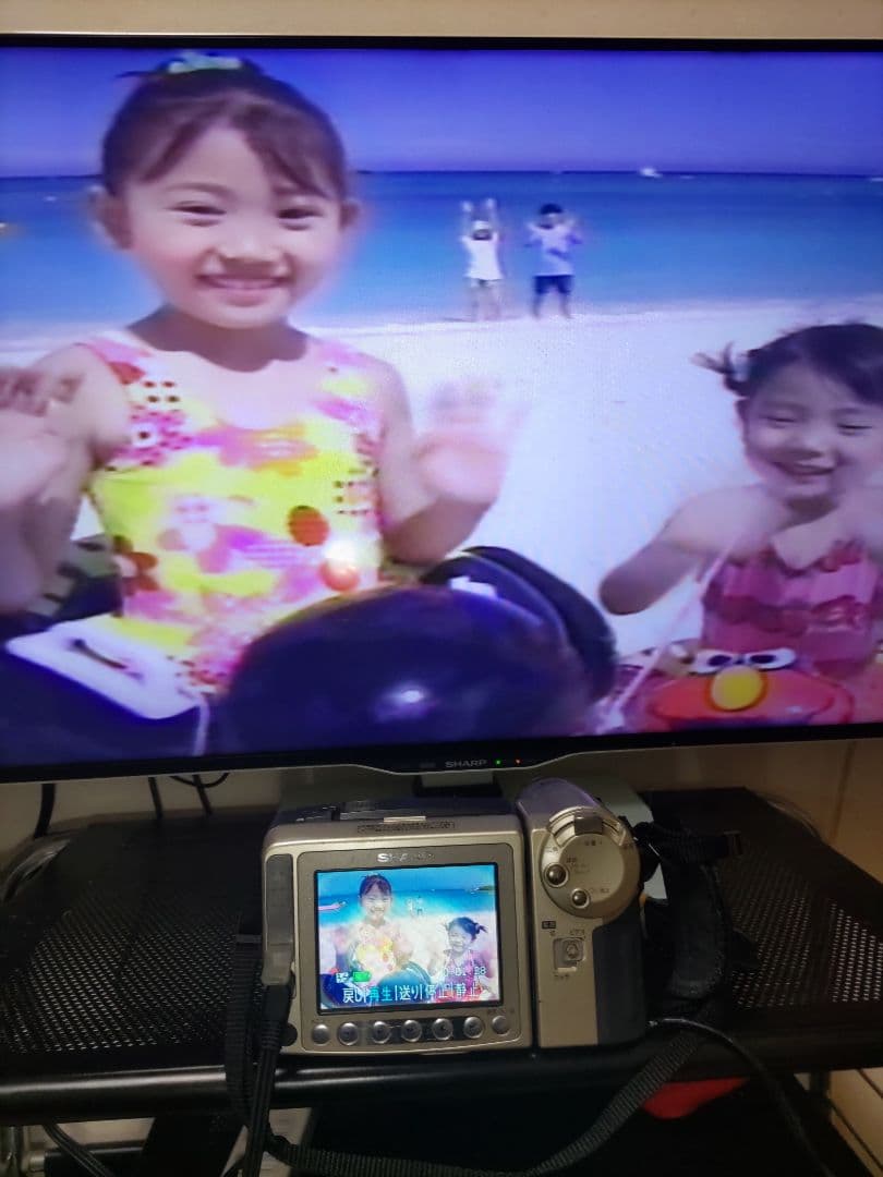 SHARP video8 8ミリビデオカメラ 液晶ビューカム VL-EL460